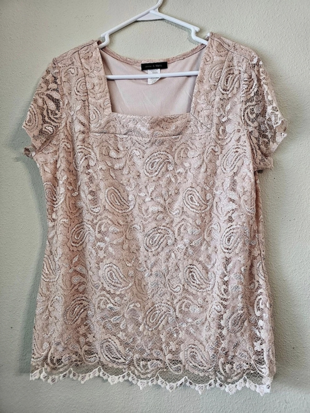 Jennie & Marlis Paisley Lace Blouse in Pink Size XL Like New